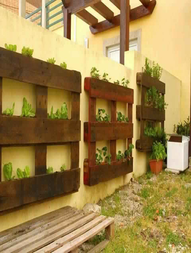 palette en bois tunisie